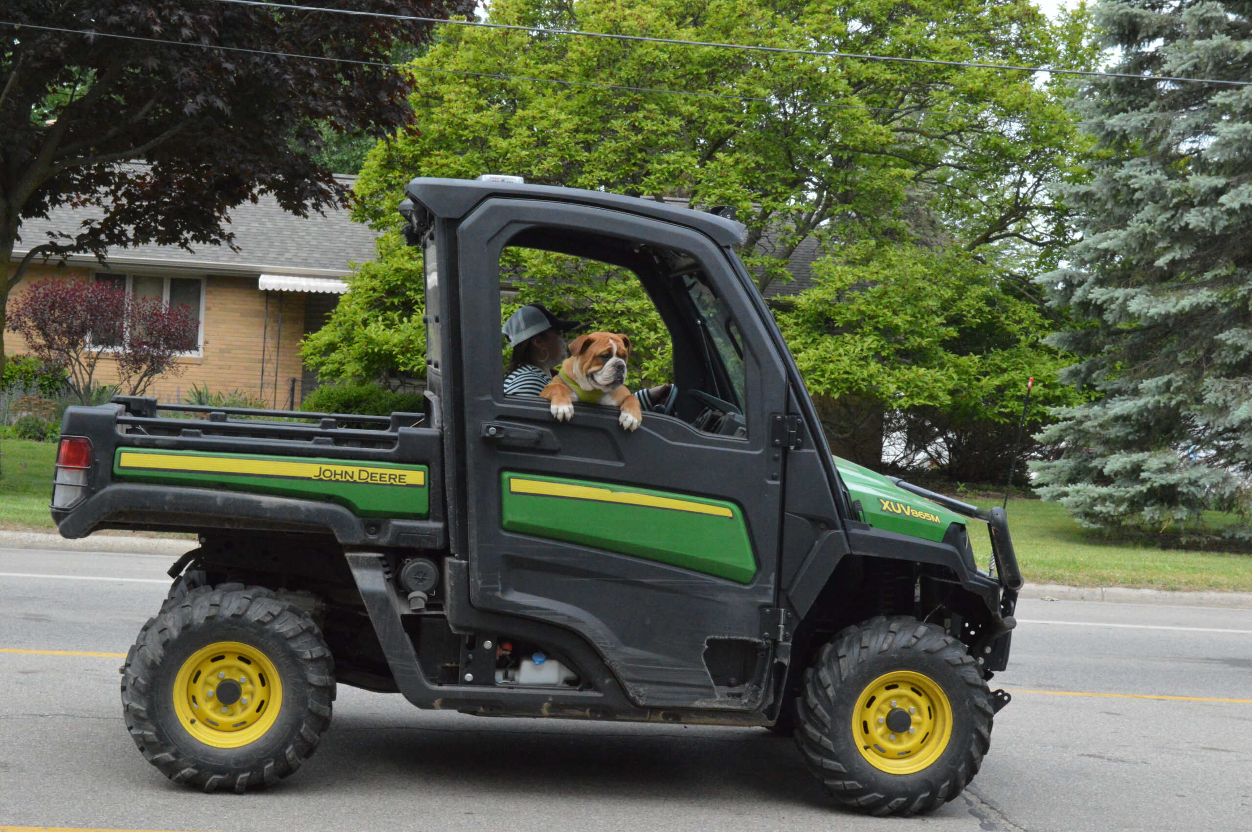 Truck and Dog in Parade